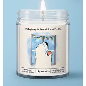 "IT'S BEGINNING TO LOOK A LOT LIKE F*CK THIS" - 5OZ SOY CANDLE new candle